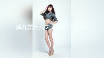 弾丸美巨乳フェティシズム 2