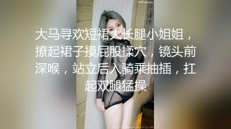 大马寻欢短裙大长腿小姐姐，撩起裙子摸屁股揉穴，镜头前深喉，站立后入骑乘抽插，扛起双腿猛操