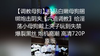 【调教母狗】极品白嫩母狗捆绑炮击阴夹〖六道调教〗给淫荡小母狗戴上夹子玩到失禁 爆裂黑丝 炮机高潮 高清720P原版