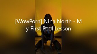 [WowPorn] Nina North - My First Pool Lesson