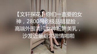 【文轩探花】你们一直要的女神，2800网约极品明星脸，高端外围清纯女神粉嫩美乳，沙发近景抠穴激情啪啪