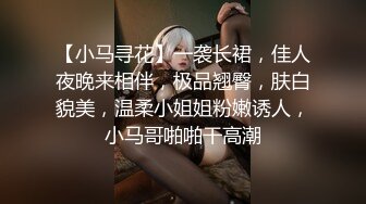 【小马寻花】一袭长裙，佳人夜晚来相伴，极品翘臀，肤白貌美，温柔小姐姐粉嫩诱人，小马哥啪啪干高潮