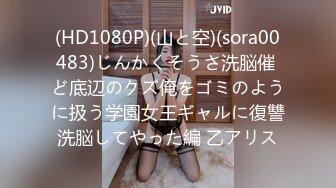 (HD1080P)(山と空)(sora00483)じんかくそうさ洗脳催 ど底辺のクズ俺をゴミのように扱う学園女王ギャルに復讐洗脳してやった編 乙アリス