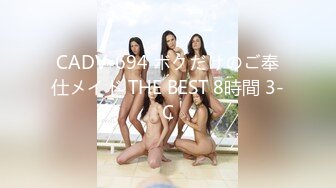 CADV-694 ボクだけのご奉仕メイド THE BEST 8時間 3-C