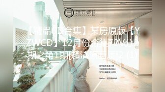 【精品CD合集】某房原版【YZWCD】12月份合集72V分2期之第1期[超清原画质]2 (1)