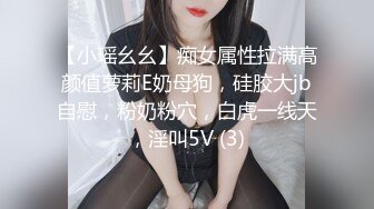 【小瑶幺幺】痴女属性拉满高颜值萝莉E奶母狗，硅胶大jb自慰，粉奶粉穴，白虎一线天，淫叫5V (3)