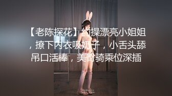 【老陈探花】约操漂亮小姐姐，撩下内衣吸奶子，小舌头舔吊口活棒，美臀骑乘位深插