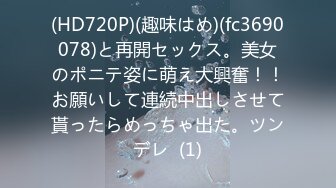 (HD720P)(趣味はめ)(fc3690078)と再開セックス。美女のポニテ姿に萌え大興奮！！お願いして連続中出しさせて貰ったらめっちゃ出た。ツンデレ  (1)