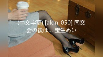 (中文字幕) [aldn-050] 同窓会の後は… 宝生めい